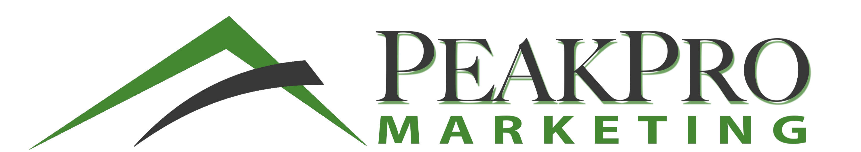 PeakPro Marketing Logo